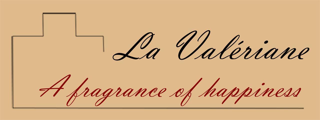 "La Valeriane" Appartement Grasse Buitenkant foto